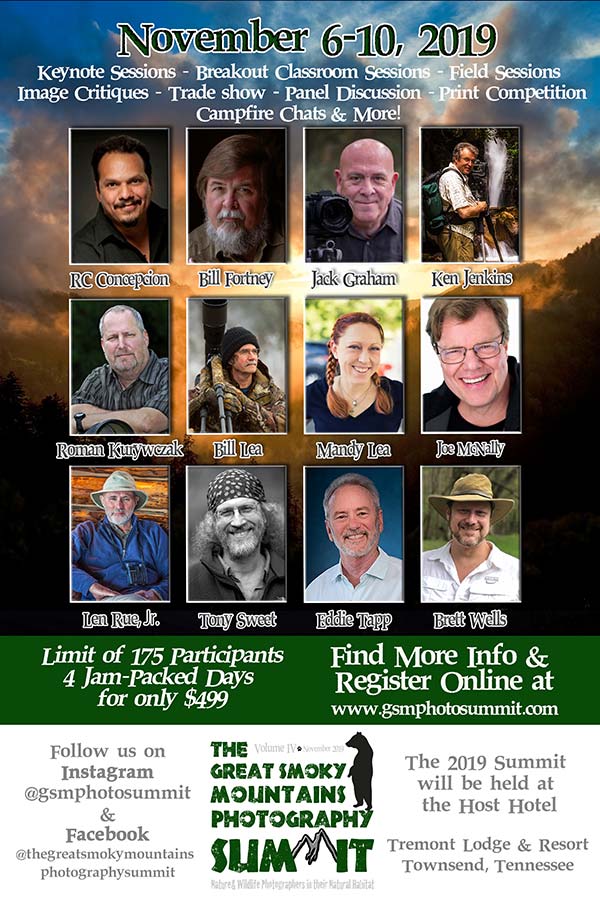 The Great Smoky Mountains Photography Summit